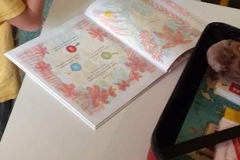 240737922_928054747746608_4261562724719099327_n