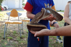 459752160_1019163123337386_1057492957755247033_n