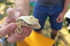 459963916_1019162813337417_3729087625270544893_n