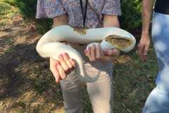 459964185_1019163410004024_5751090073547562035_n