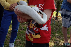 460037987_1019162853337413_4722764825184411789_n