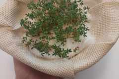 433985017_1599310837546913_7703340390811719593_n