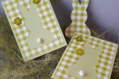 164992433_198802518295836_7978372359454800205_n