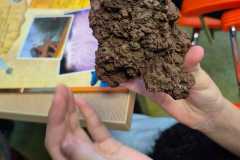 031c8b04-25c5-4ab7-b8cc-b6cb8881b4a8