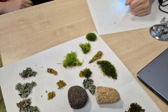 15db98c6-b77b-4fca-992d-d31c96e4aa84