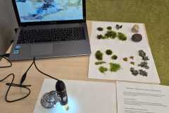 5df6f678-877c-4343-9f66-795745bafdcf