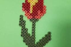 received_683762262635817