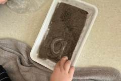 342862552_6123732911043053_5088892430806376078_n