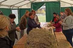 277679035_1055432018342213_300690432185032702_n