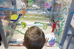 367055931_781907937062907_4906389576546204025_n