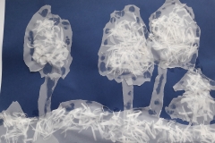 143529561_231824985155936_7041278519766614646_n