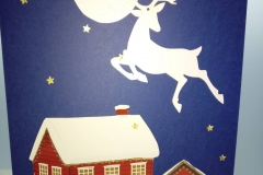 144665474_694544174549477_7911942696544890002_n