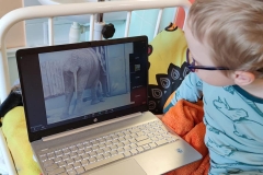 184425766_866550933896990_5522345802962820658_n