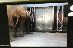 184566800_866551150563635_7475226982238066747_n