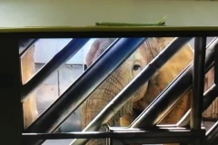 184970231_866551180563632_4697617833455545455_n