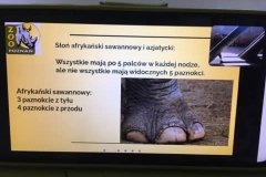 185321690_866551077230309_4792827954327814742_n