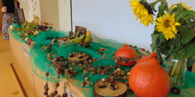 Pani Jesień dary niesie