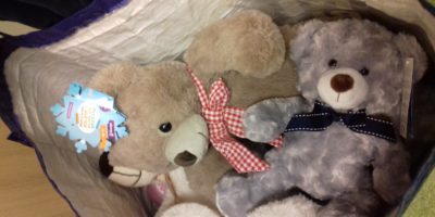 Dzień Pluszowego Misia