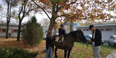 Stworzenia Pana Smolenia