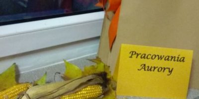 Pracownia Aurory