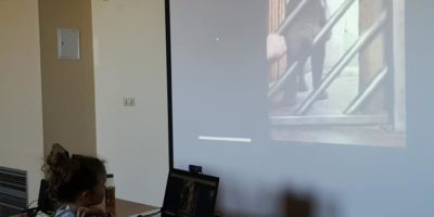 Wirtualna wycieczka do zoo