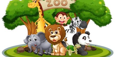 #zostań w domu – wizyta w zoo