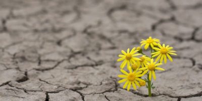 #zostań w domu – dla rodziców