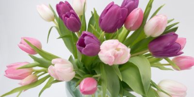 Dzień Edukacji Narodowej