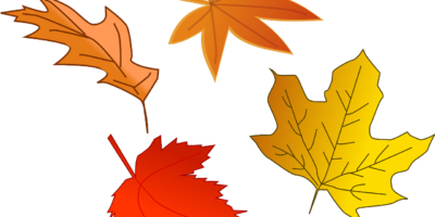 JESIEŃ W PARKU – rozwiązanie konkursu plastycznego