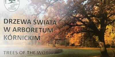 Z przyrodą na co dzień