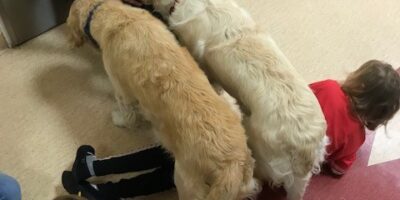 Czworonożni terapeuci