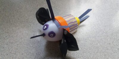 Masz odpady – zrób owady