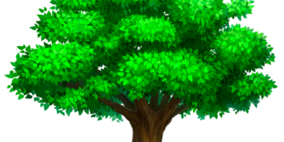 Światowy Dzień Drzewa