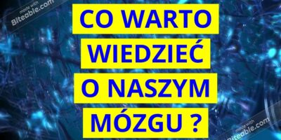 Dzień Mózgu