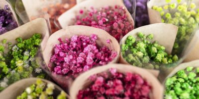 Dzień Edukacji Narodowej