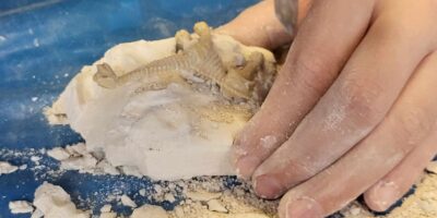 Być jak archeolog i paleontolog