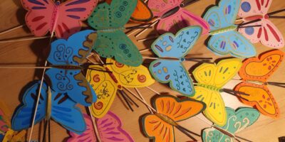 Motyli wolontariat