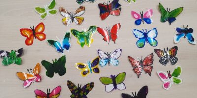Warsztaty motylego wolontariatu