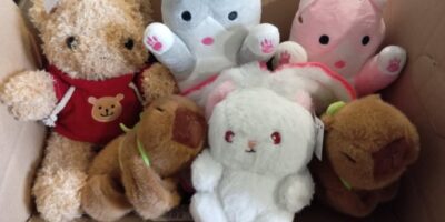 Podaruj pluszaka-podaruj uśmiech