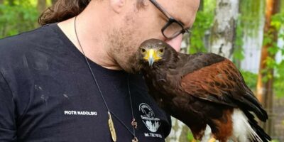 Fundacja Skrzydła Lasu