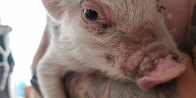 Wyjątkowe odwiedziny