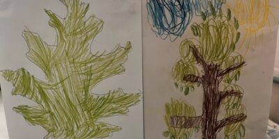 Międzynarodowy Dzień Drzewa