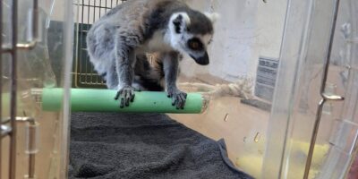 Zagroda Rodzinna Siedlisko Józefówka